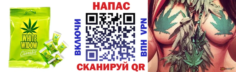 Еда ТГК марихуана  Шенкурск 
