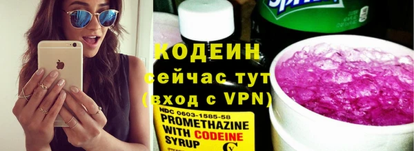 стаф Богданович