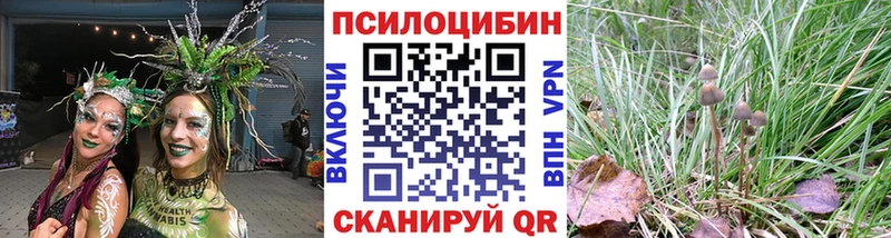 блэк спрут tor  Шенкурск  Галлюциногенные грибы Magic Shrooms 